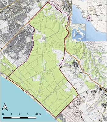 Pathological and virological insights from an outbreak of European brown hare syndrome in the Italian hare (Lepus corsicanus)